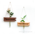 wooden hanging glasses text tube plants shelf pot